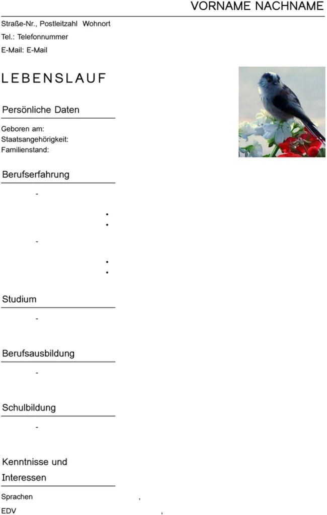 vorlage-fuer-bewerbung-und-lebenslauf