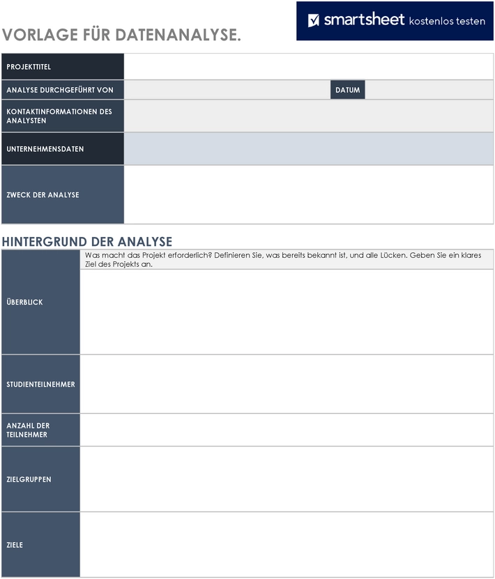 vorlage-fuer-datenanalyse-aufbau-und-anwendung