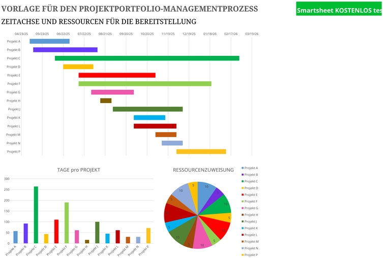 vorlage-fuer-den-projektportfolio-managementprozess-excel