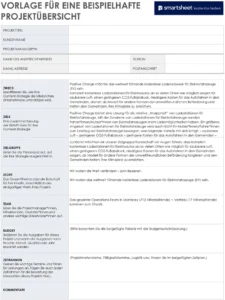 vorlage-fuer-eine-projektuebersicht