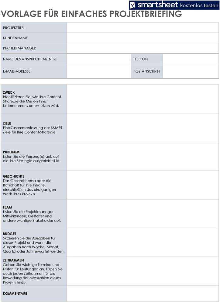 vorlage-fuer-einfaches-projektbriefing-in-word