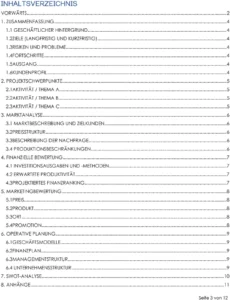 vorlage-fuer-geschaeftsprojektberichte-mit-marktanalyse-und-finanzieller-bewertung