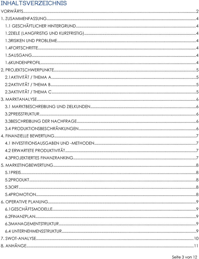 vorlage-fuer-geschaeftsprojektberichte-mit-marktanalyse-und-finanzieller-bewertung