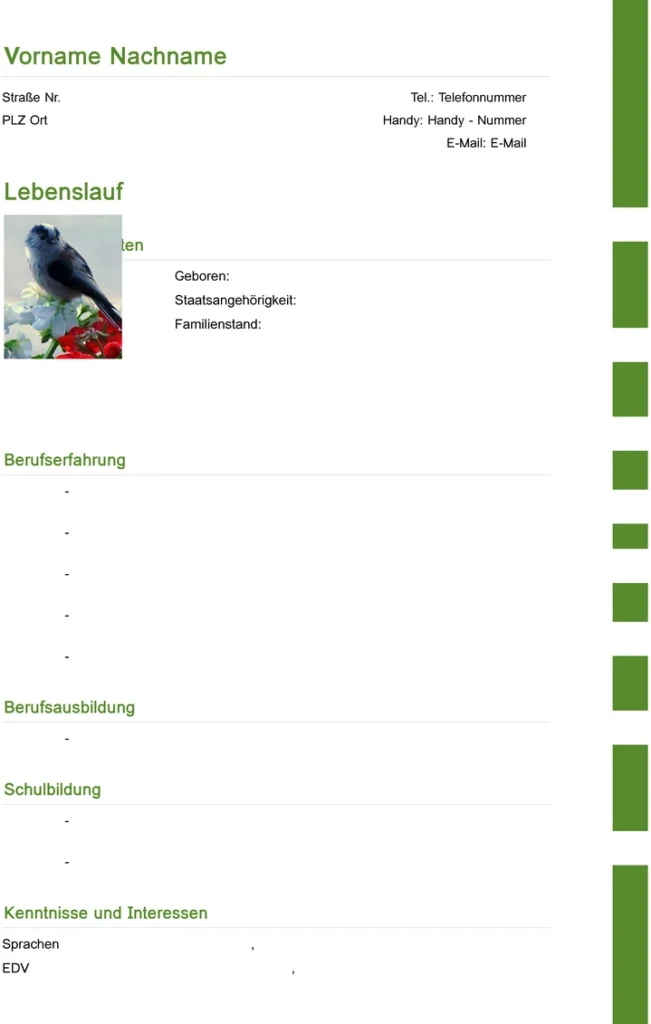 vorlage-fuer-lebenslauf-und-bewerbung
