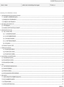 vorlage-fuer-marketingstrategieplanung-mit-situationsanalyse-und-zieldefinition
