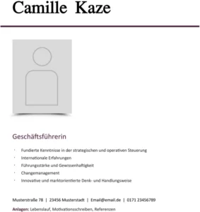 vorlage-fuer-professionelle-bewerbung-und-lebenslauf