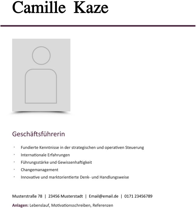 vorlage-fuer-professionelle-bewerbung-und-lebenslauf