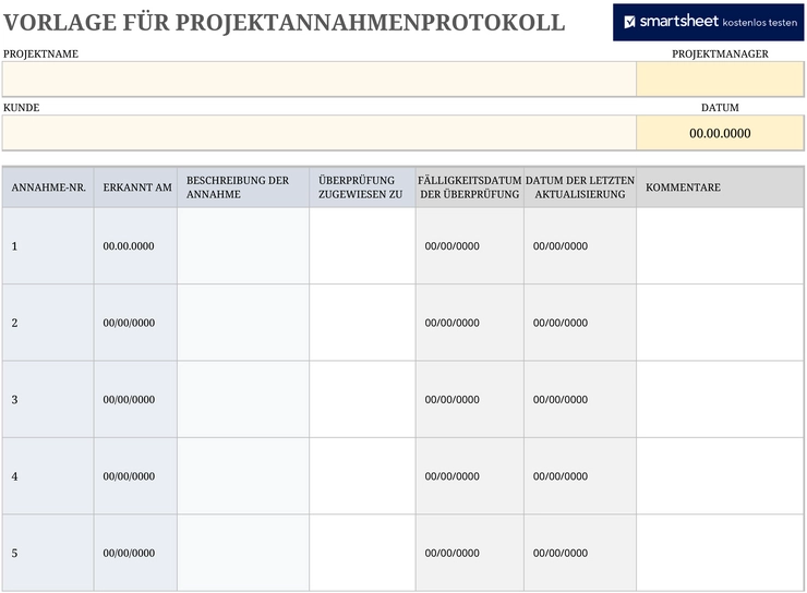 vorlage-fuer-projektannahmenprotokoll-excel