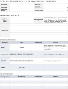 vorlage-fuer-woche-projektstatusbericht