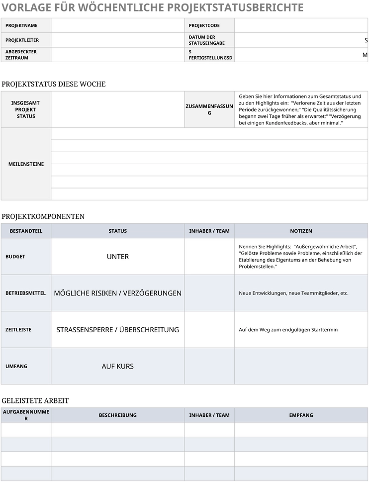vorlage-fuer-woche-projektstatusbericht