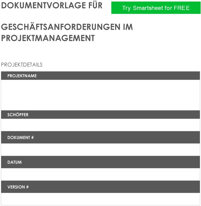 vorlage-geschafstsanforderungen-projektmanagement