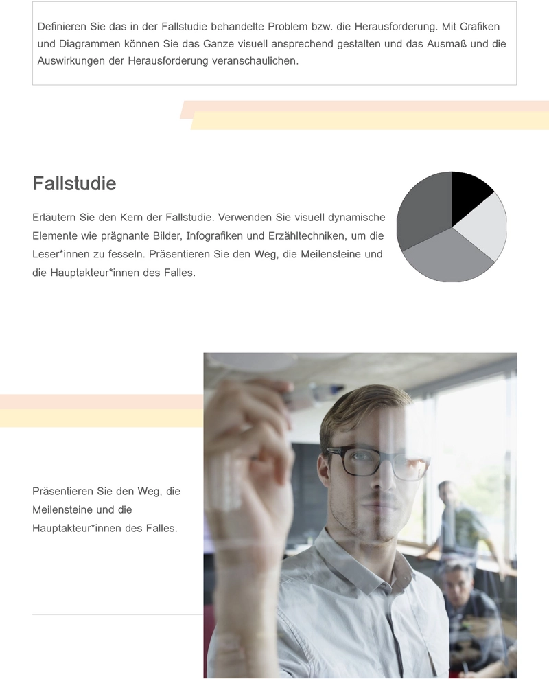 vorlage-marketing-fallstudie-fuer-word