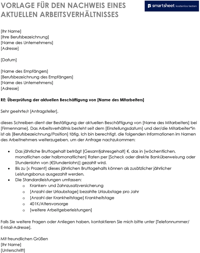vorlage-ueberpruefung-aktuelle-beschaeftigung