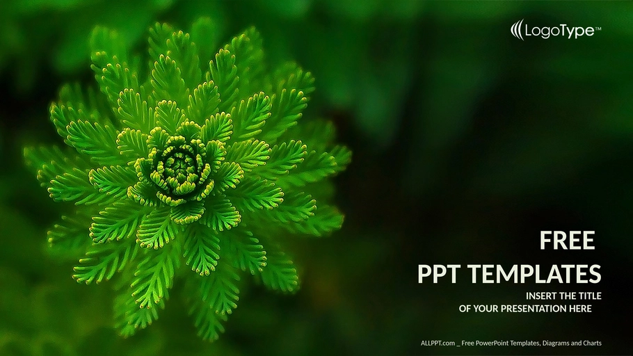 wasserpflanzen-natur-powerpoint-vorlage-widescreen.png