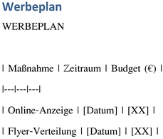 werbeplan-fuer-marketing-und-projektmanagement