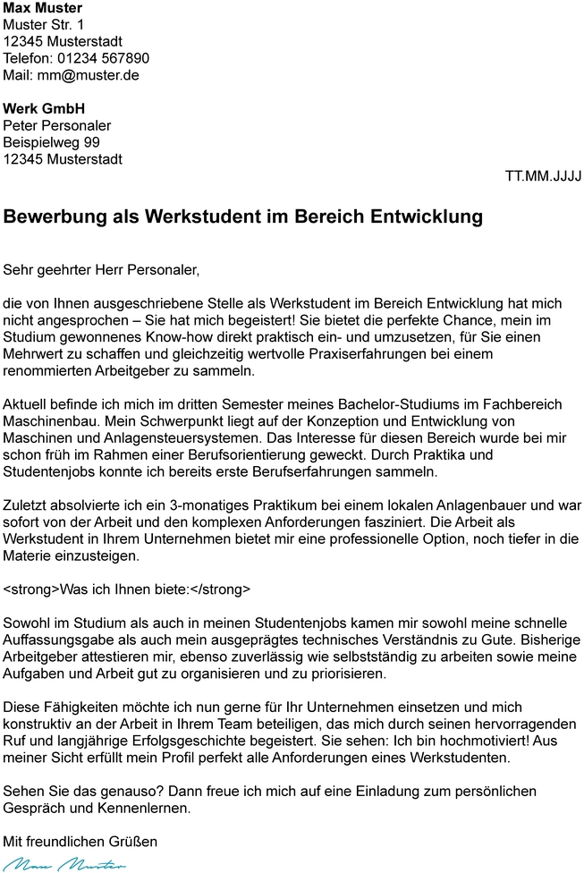 werkstudent-anschreiben-vorlage-muster-word.png