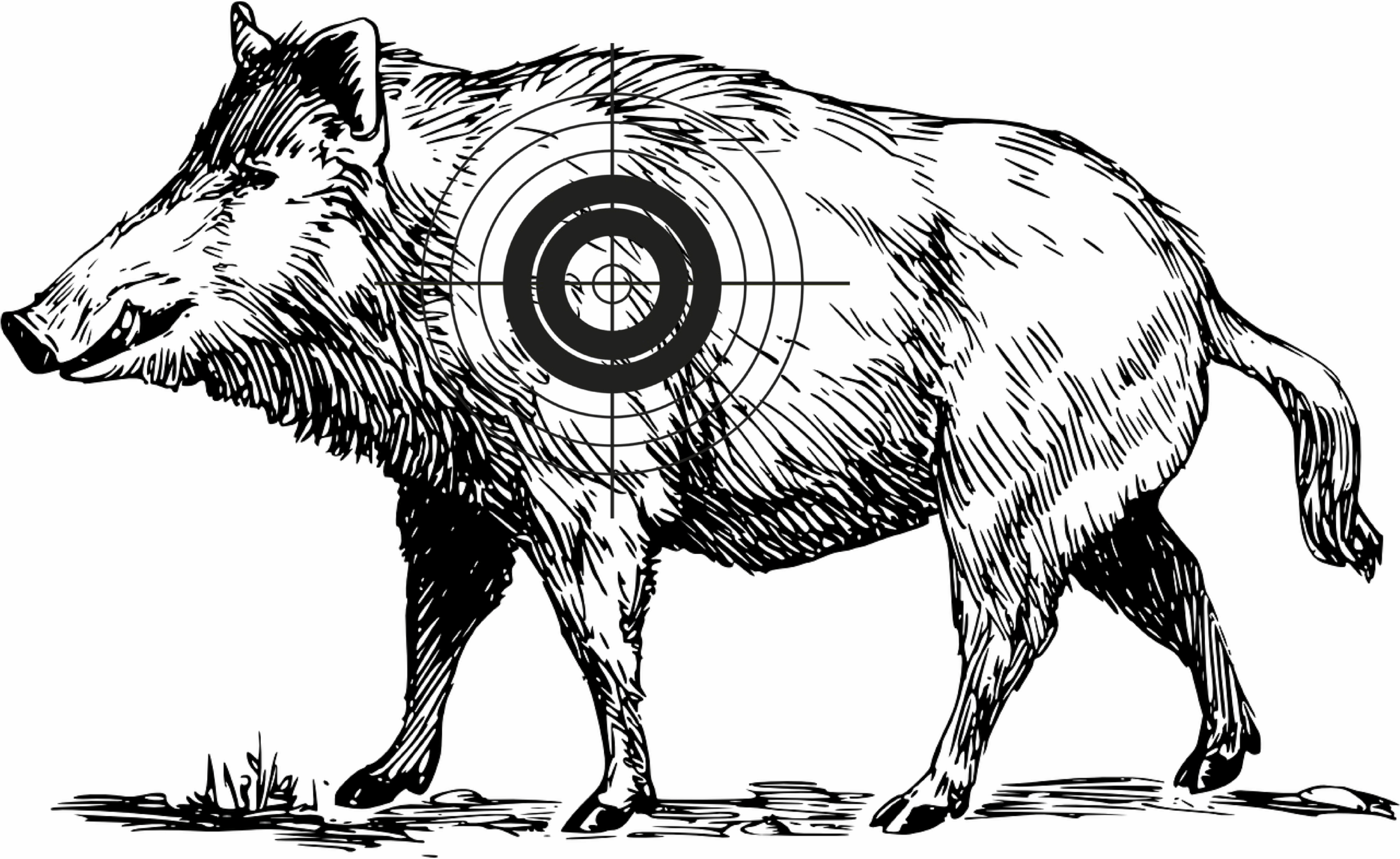 Wildschwein Zielscheibe Vorlage