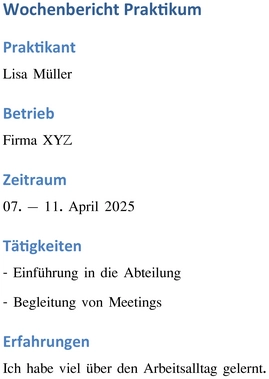 wochenbericht-praktikum-erfahrungen-dokumentieren-vorlage