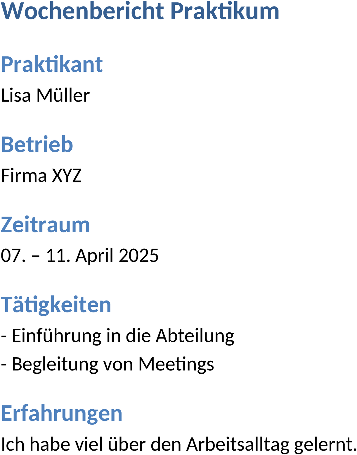 Wochenbericht Praktikum Word Vorlage