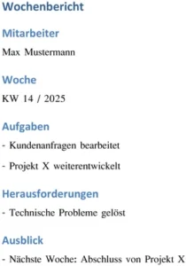 wochenbericht-vorlage-selbstorganisation-planung