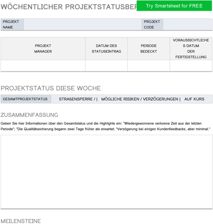 woechentlicher-projektstatusbericht