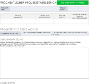woechentlicher-projektstatusbericht-vorlage