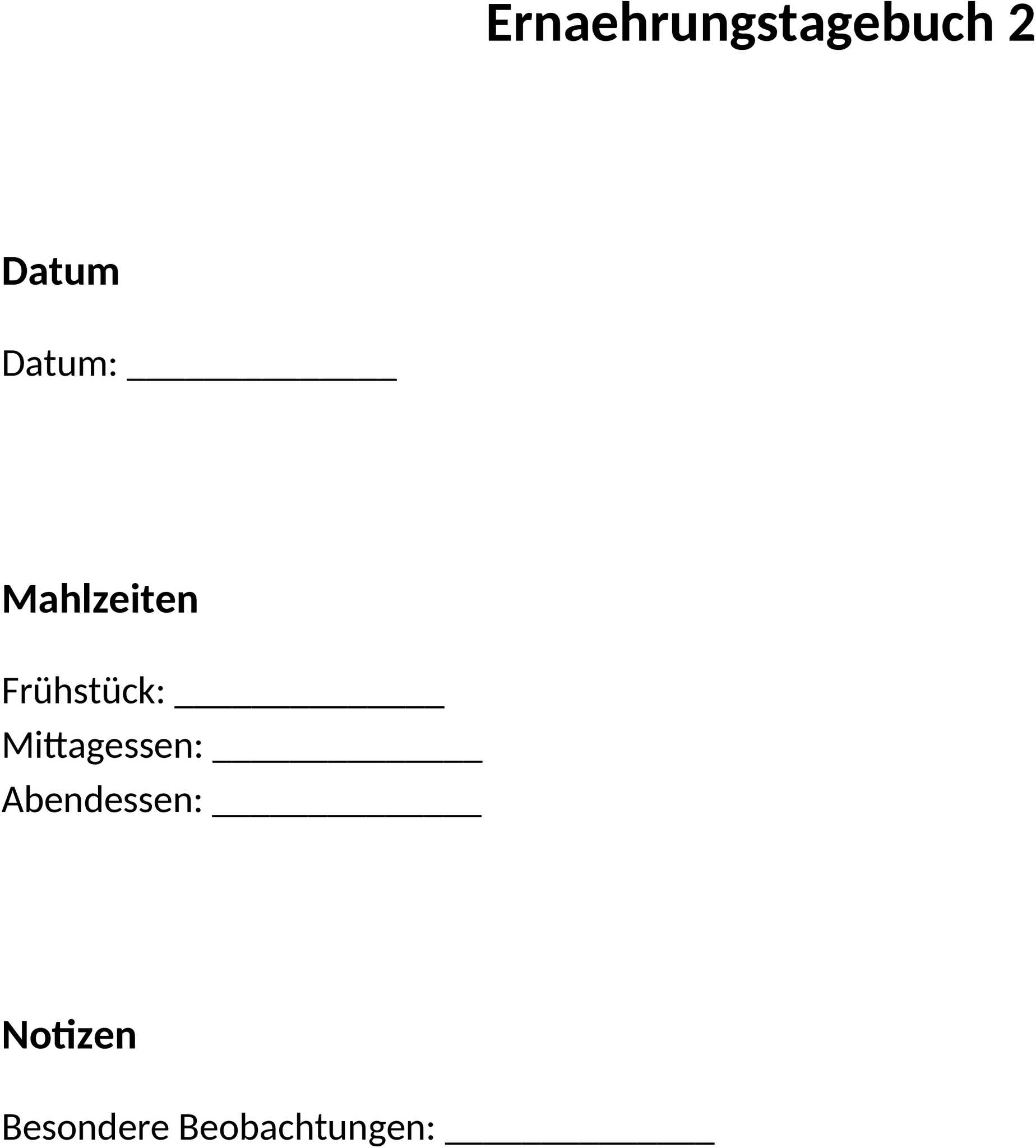 Word-Dokument Ernährungstagebuch