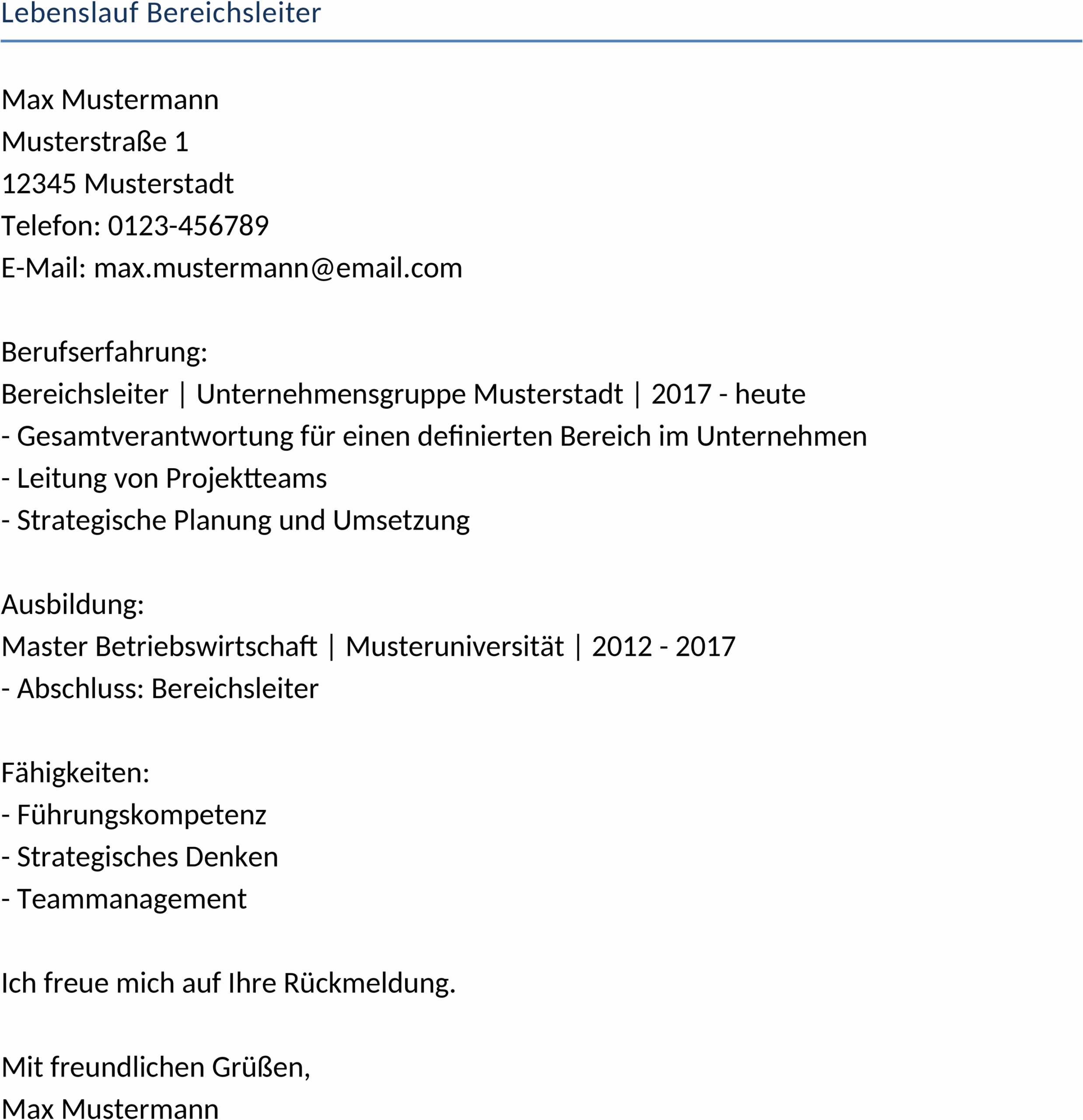 Word-Dokument Lebenslauf Bereichsleiter