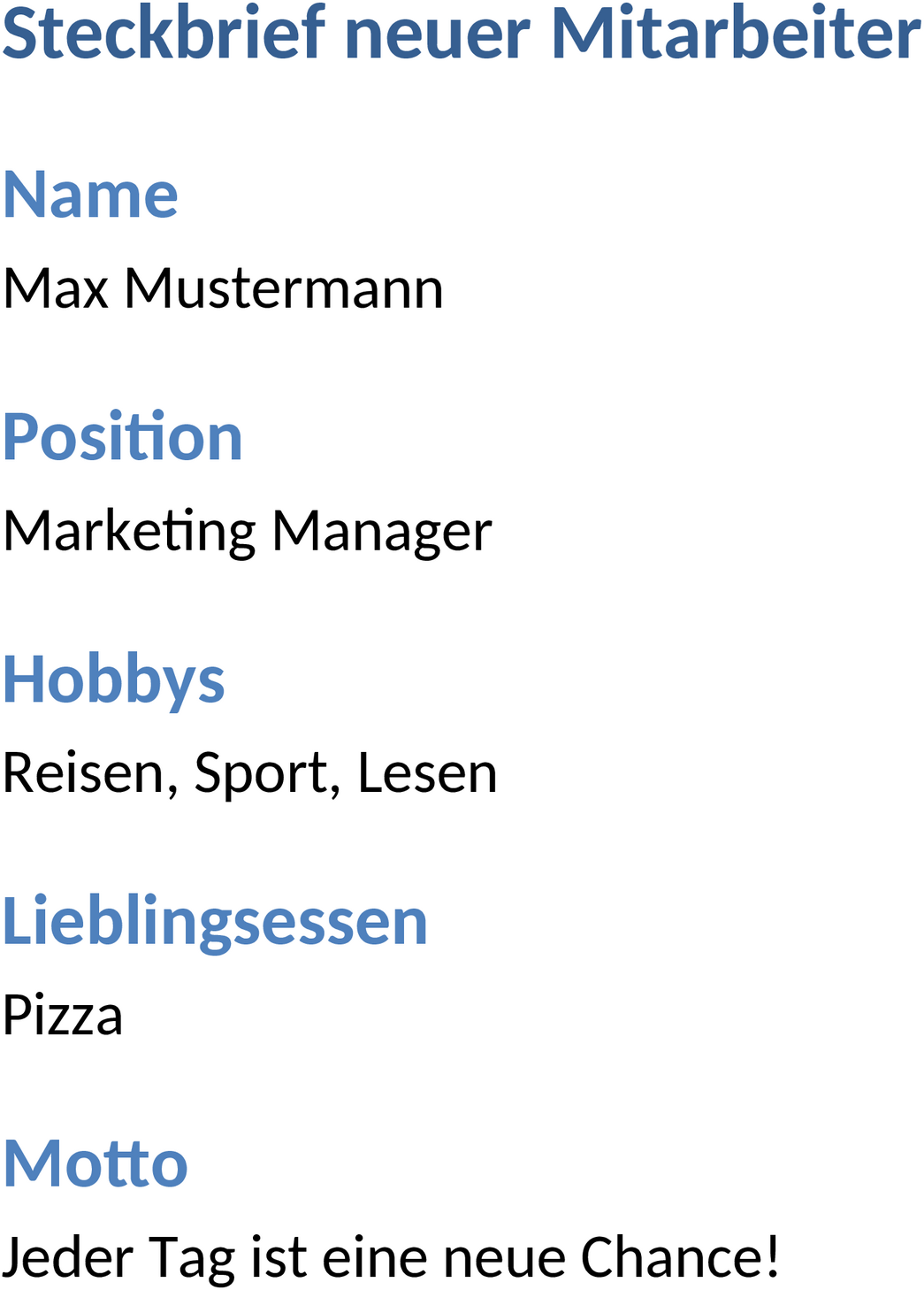 Word-Dokument Steckbrief Neuer Mitarbeiter