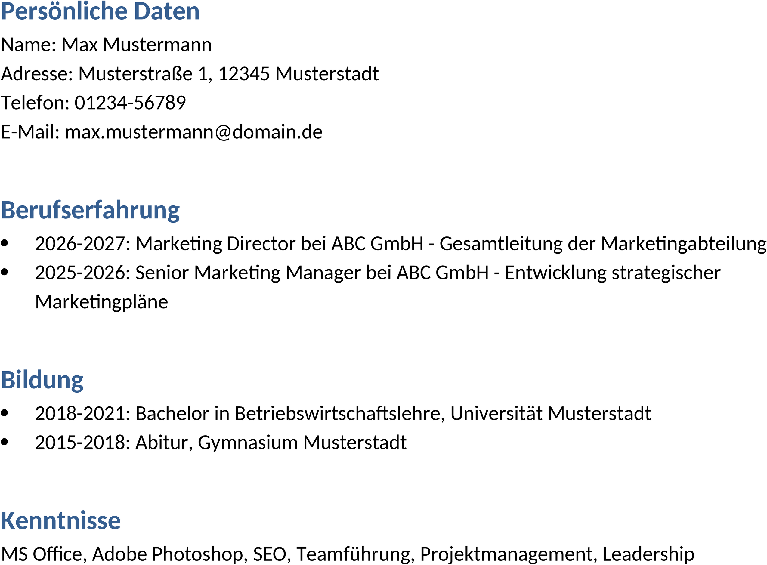 Word-Lebenslauf-Template 2027