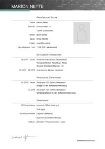word-lebenslauf-vorlage-fuer-bewerbung-und-karriere