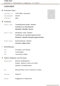 word-lebenslaufvorlage-fuer-bewerbungen-und-karriereplanung