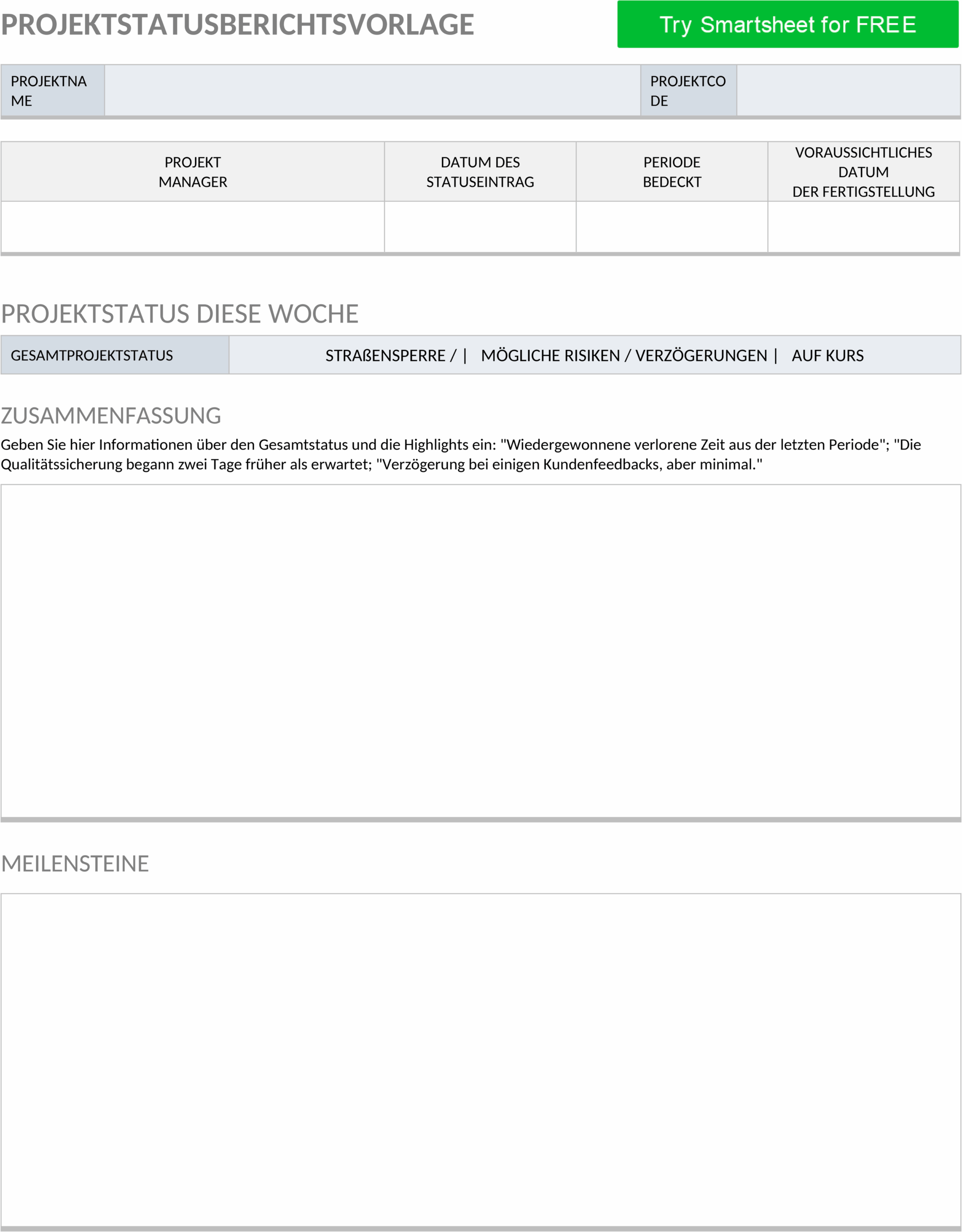Word Projektstatusbericht Vorlage