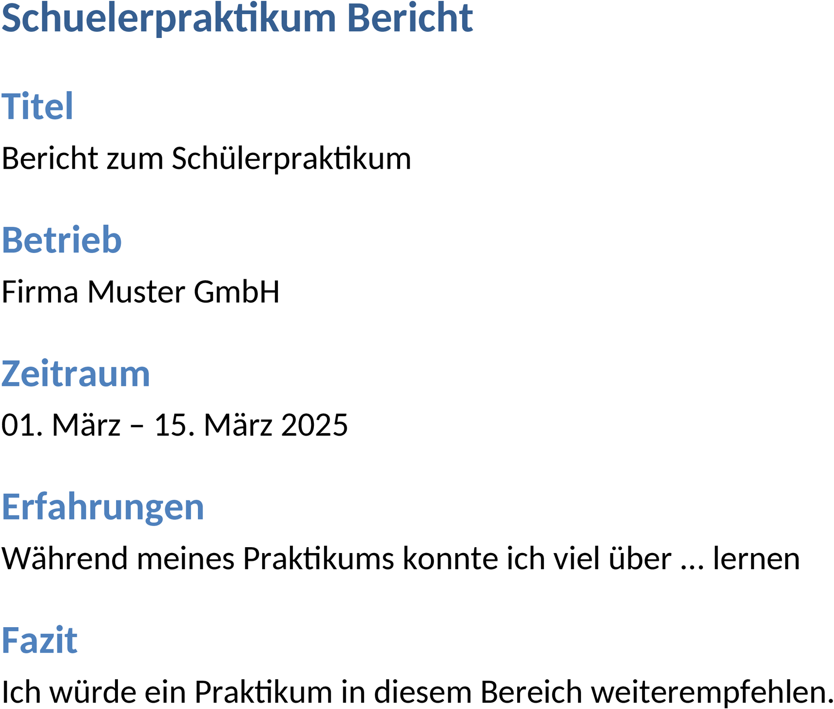 Word Schülerpraktikum Bericht Vorlage
