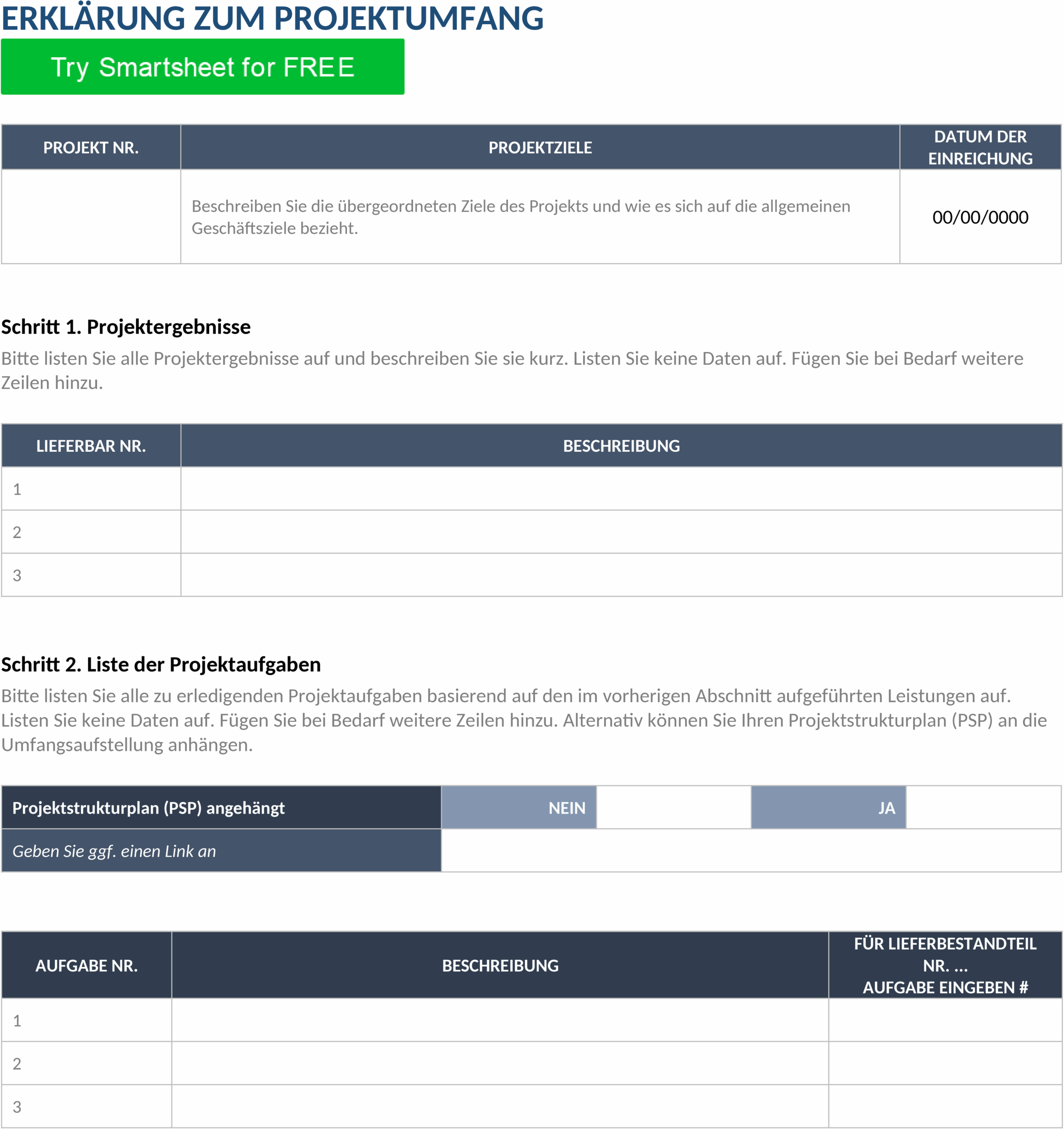 Word-Template Projektumfangs-Statement