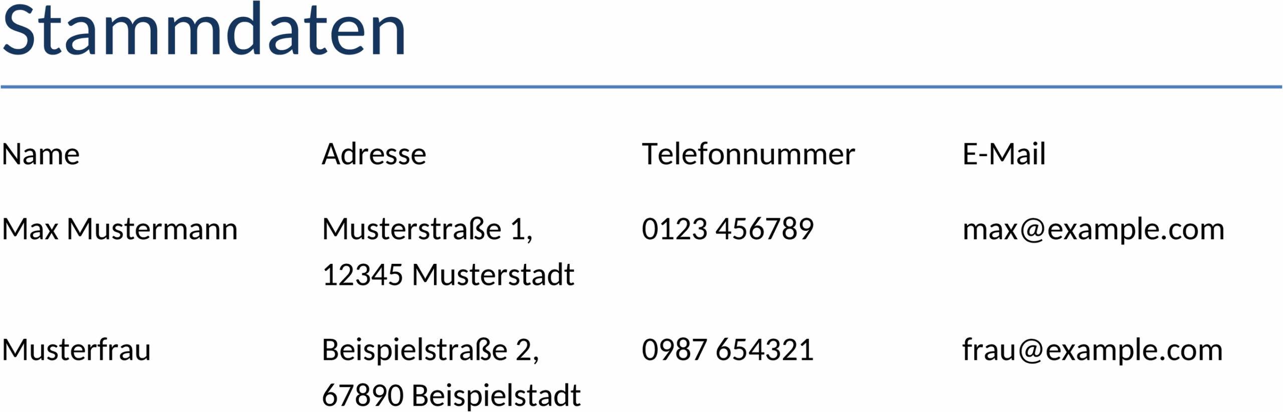 Word-Template für Stammdaten in der Buchhaltung