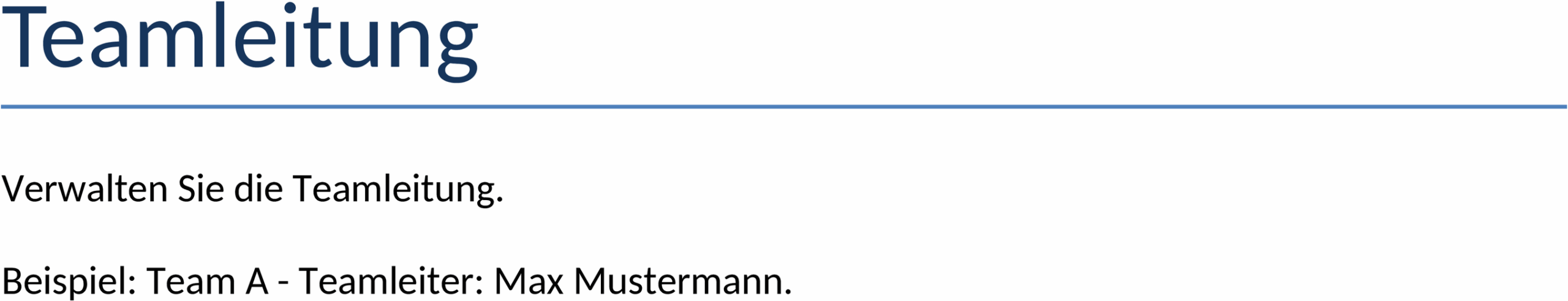 Word-Template für Teamleitung