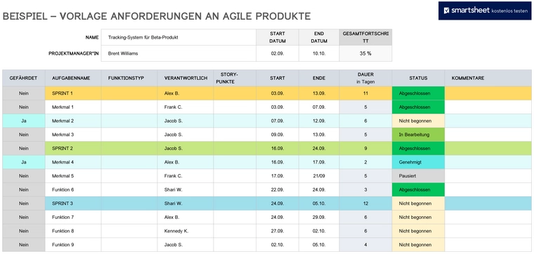 word-vorlage-agile-produktanforderungen-mit-risikomanagement