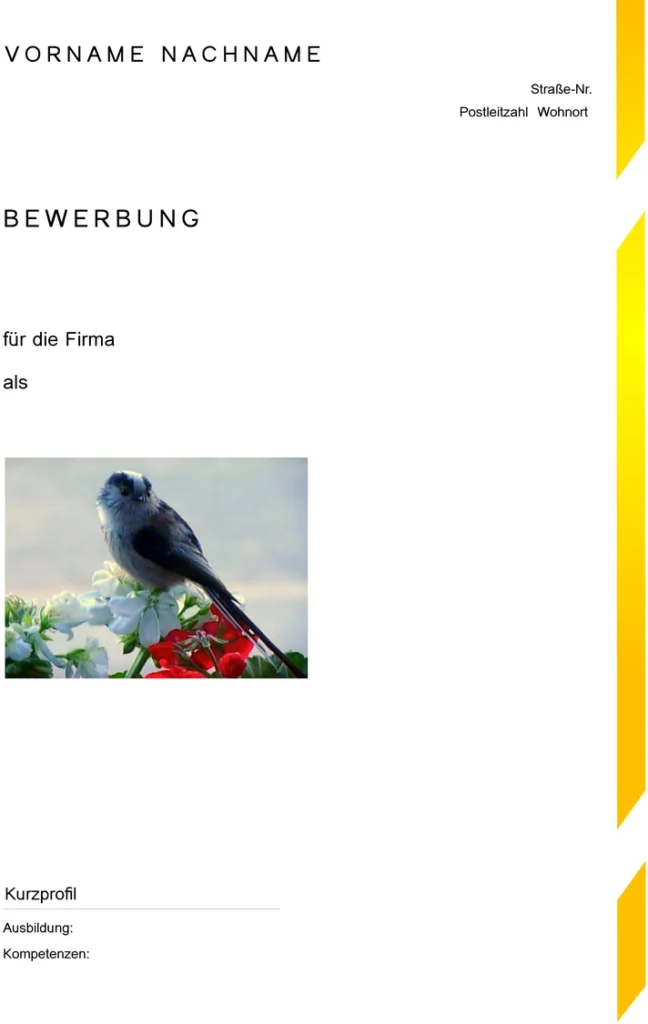 word-vorlage-bewerbung-lebenslauf