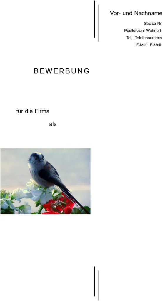 word-vorlage-bewerbung-und-lebenslauf