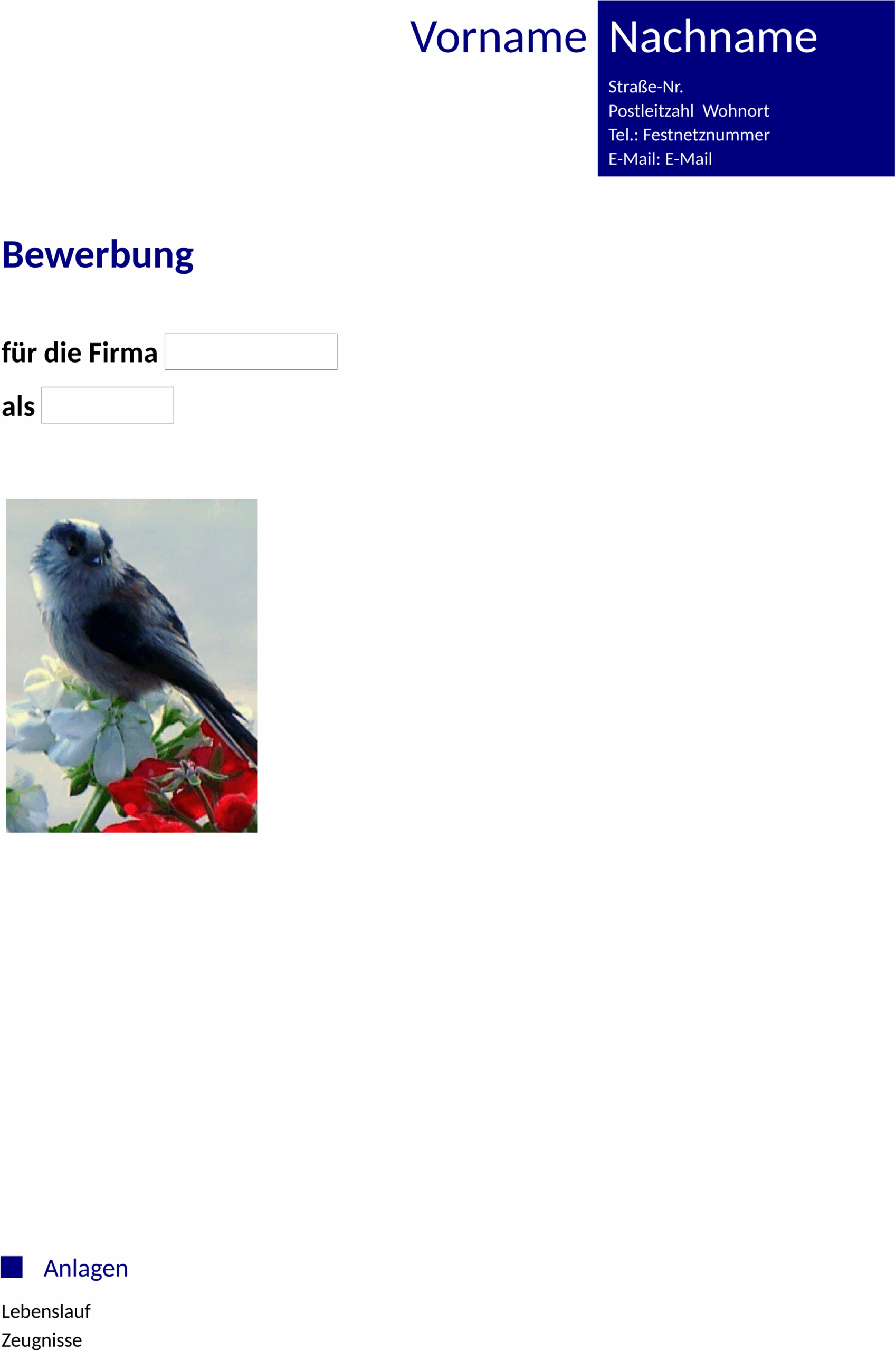word-vorlage-blauer-kasten-2017.png