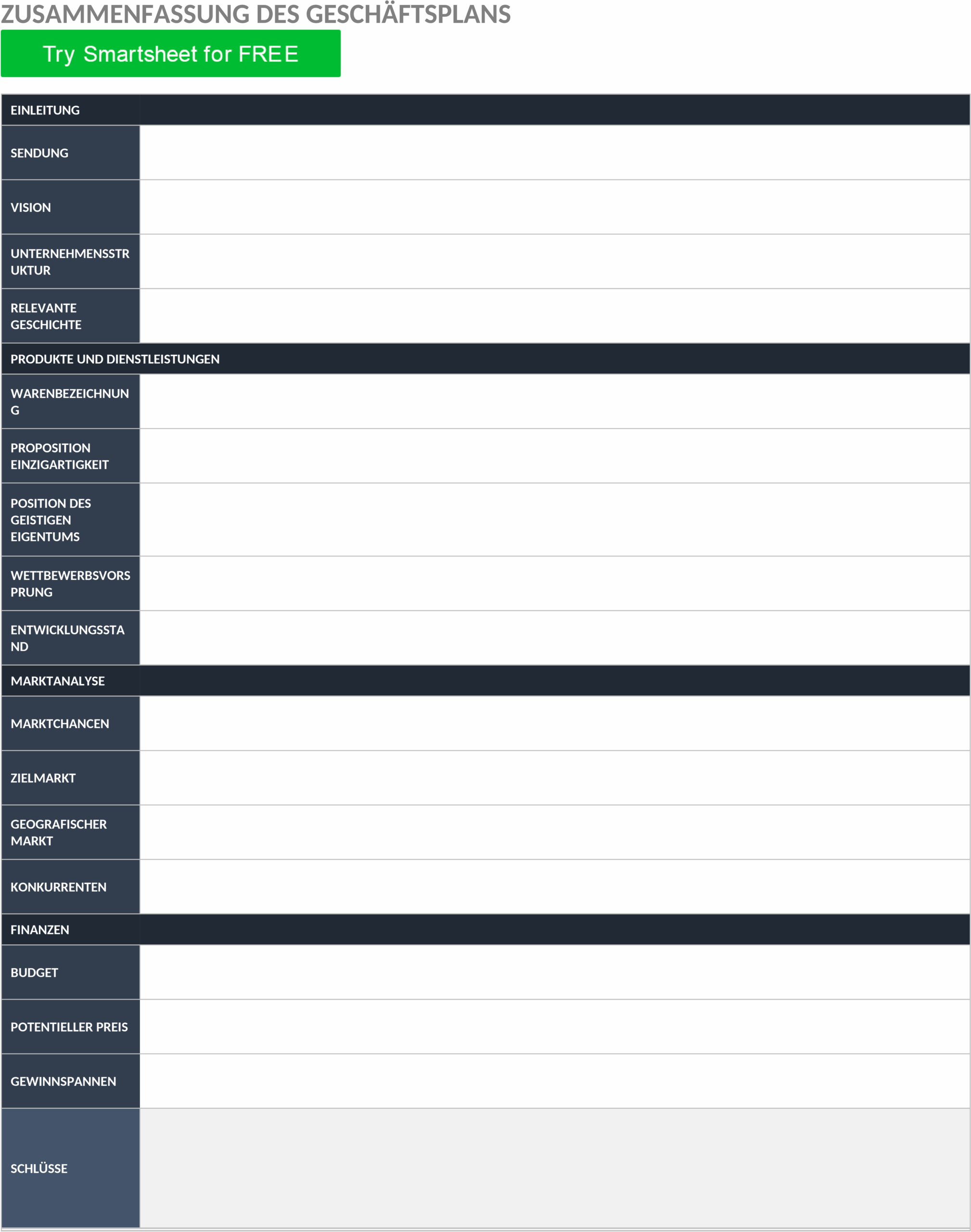 Word-Vorlage Business-Plan Executive Summary