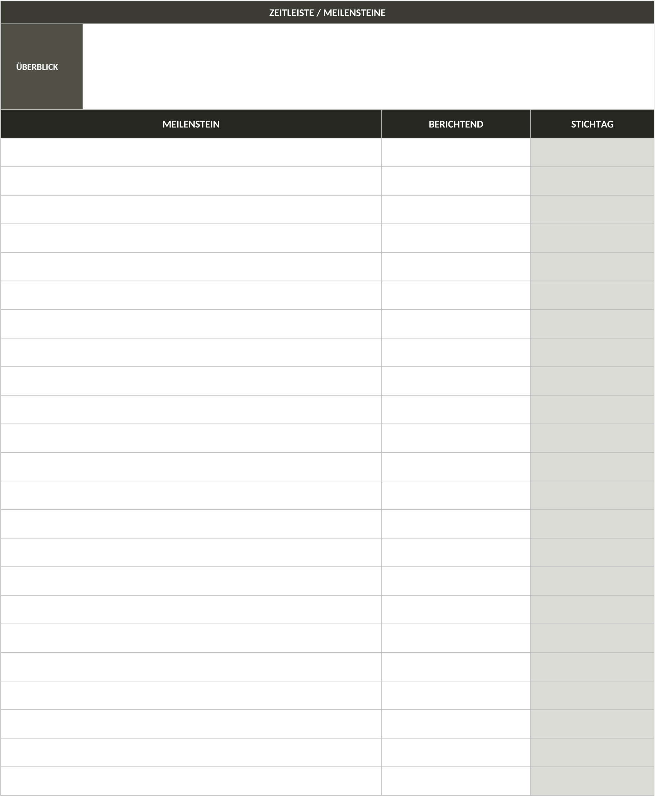Word-Vorlage für Consulting-Projektvorschlag