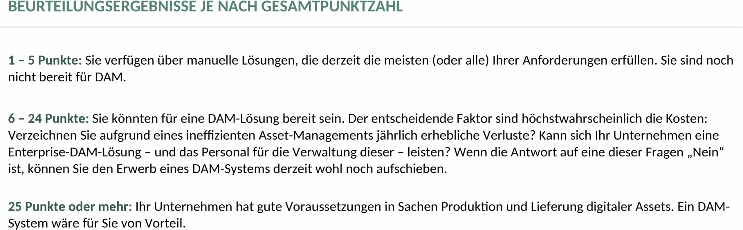Word-Vorlage DAM-System-Arbeitsblatt