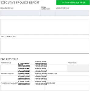 word-vorlage-executive-project-report-mit-ueberblick-und-details
