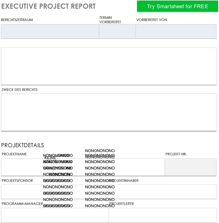 word-vorlage-executive-project-report-mit-ueberblick-und-details
