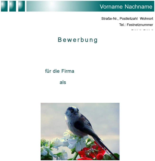 word-vorlage-fuer-bewerbung-und-lebenslauf