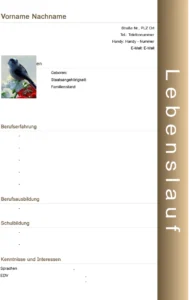 word-vorlage-fuer-bewerbung-und-lebenslauf