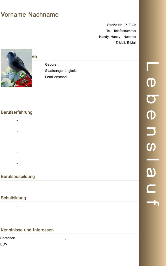 word-vorlage-fuer-bewerbung-und-lebenslauf