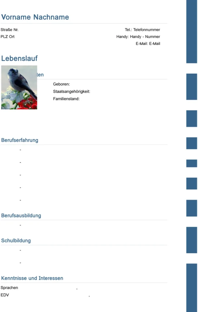word-vorlage-fuer-bewerbung-und-lebenslauf